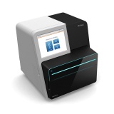 MiniSeq