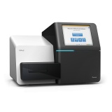 MiSeq